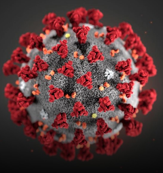 Koronavirus.jpg